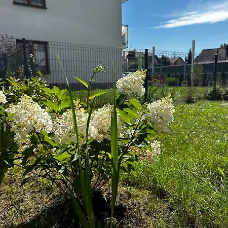 M&m Glogera Διαμέρισμα Krasków