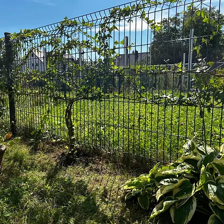 M&m Glogera Apartament *