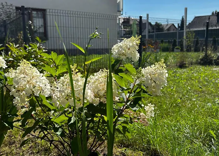 M&m Glogera דירה קרקוב